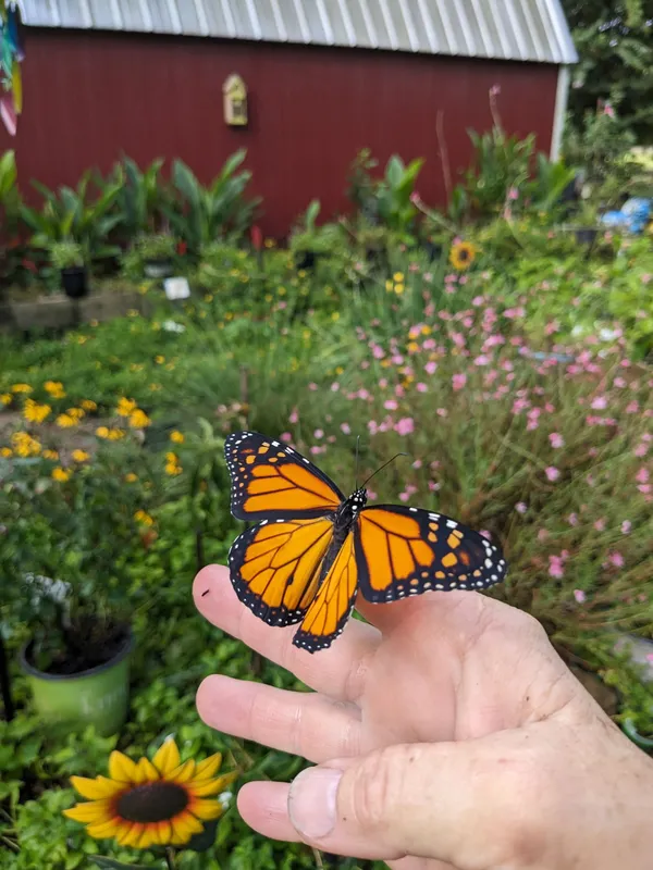 Save the Pollinators